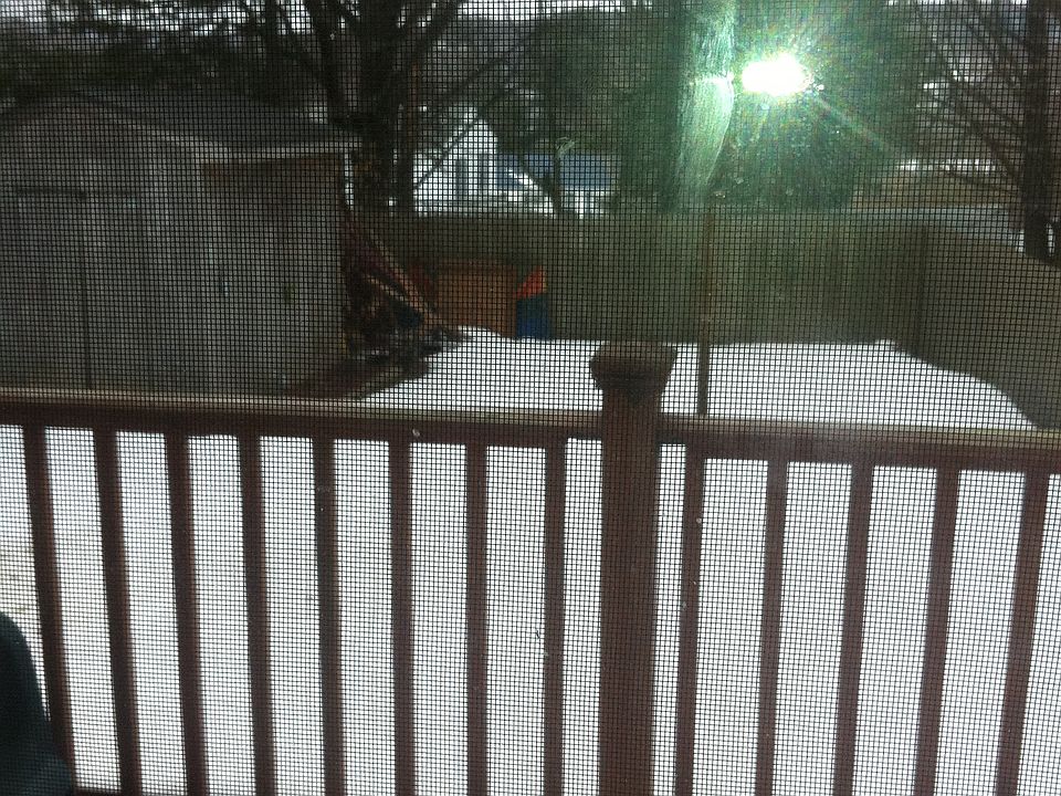 Backyard view from DR