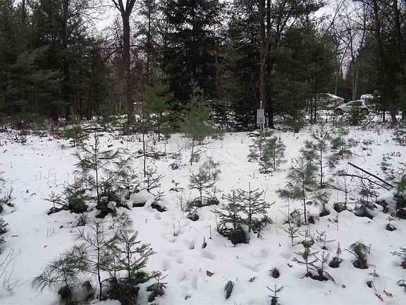 5th image of Xxx Deer Run