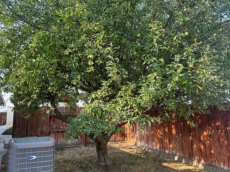 13561 Willis Rd — Photo 9