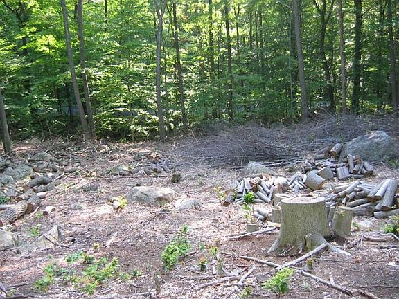 some clearing already