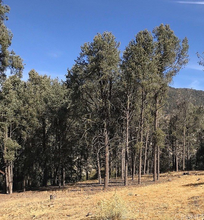 1st image of 13913 Yellowstone Dr