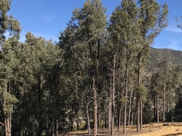 13913 Yellowstone Dr, Frazier Park, CA 93225
