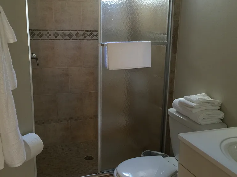 Master Ensuite Bathroom with shower