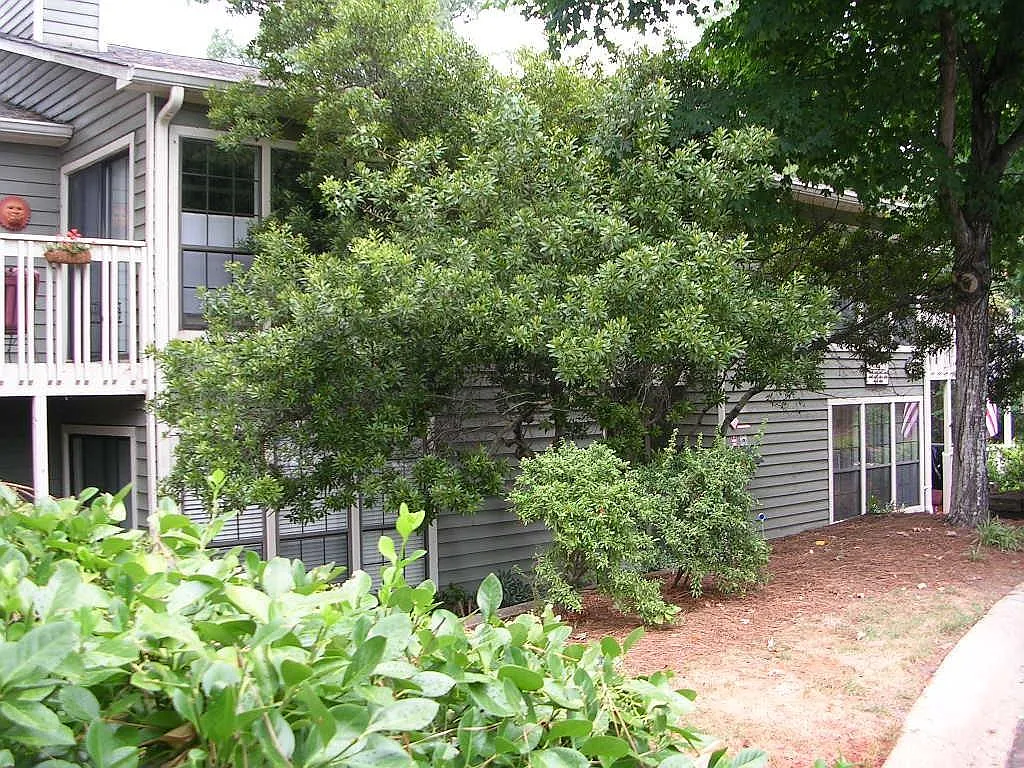 2 bed, 2.0 bath, 1270 sqft, $1,800 — Photo 2