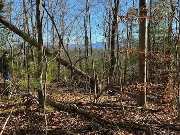 Overlook View Rd, Walland, TN 37886