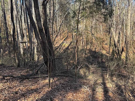 4th image of 0 Booler Rd