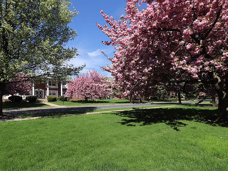 Highland Park — Photo 12