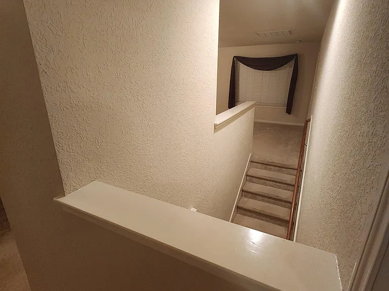 10623 Gold Finch Rd — Photo 7