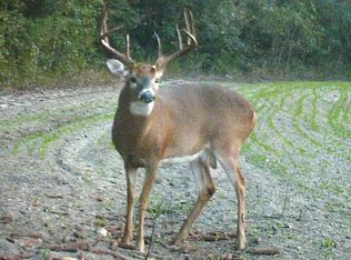 0 Highway 25, Millen, GA 30442