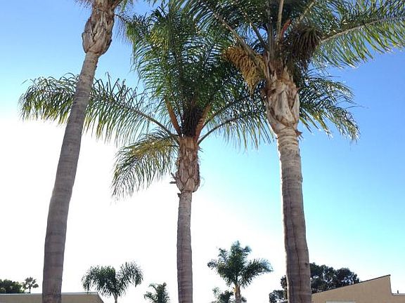 Daily Vacation Feeling