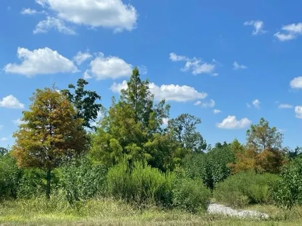3452 Highway 39, Braithwaite, LA 70040