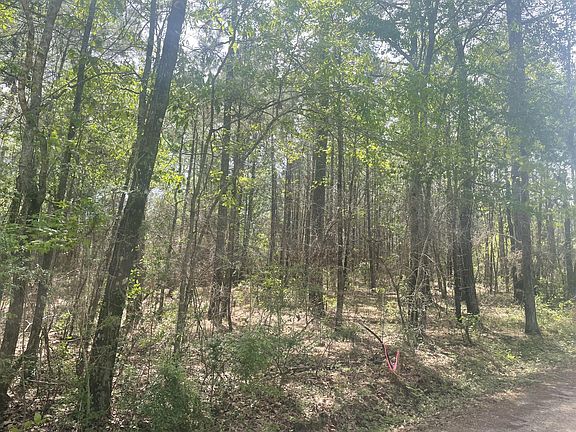 2nd image of Debbie Brown Rd