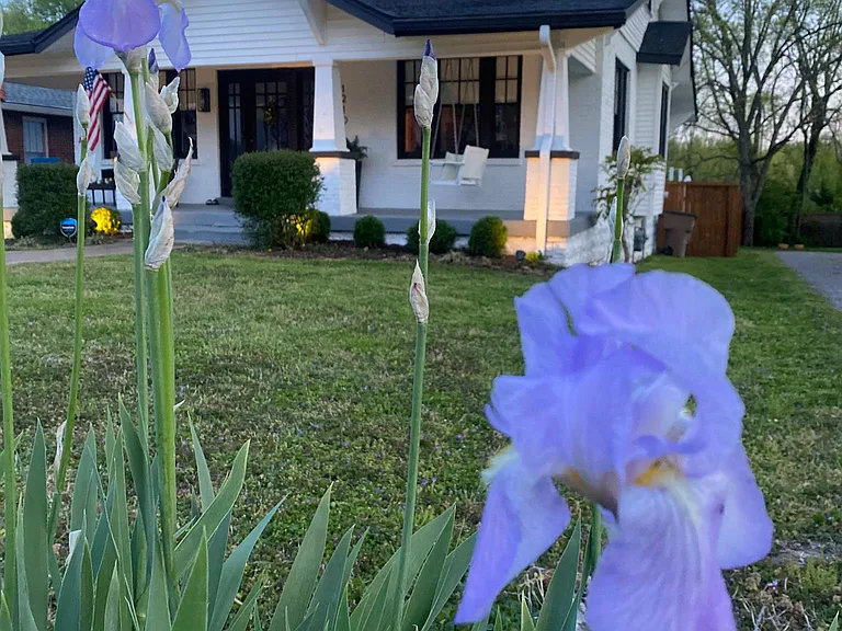 1210 Shelton Ave — Photo 10