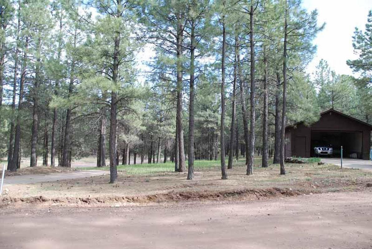 2452 Wildflower Ln, Forest Lakes, AZ 85931 Zillow