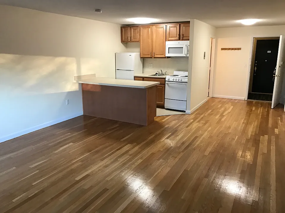 62 Homer Ave #305