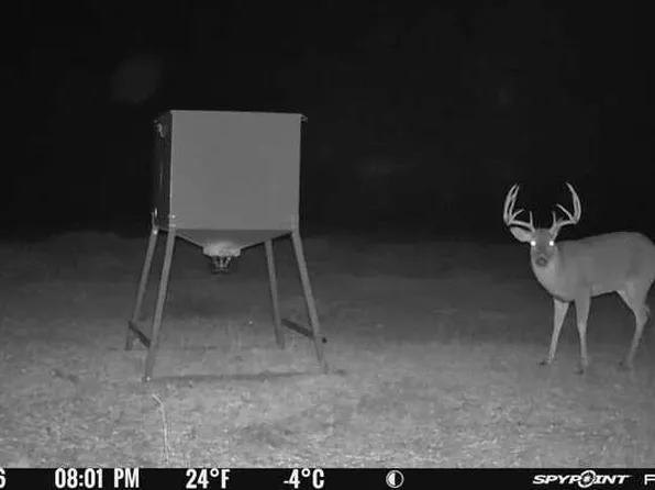 County Road 356, Anson, TX 79501