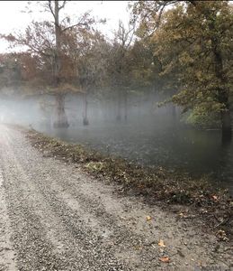 Cat Island Rd, Saint Francisville, LA, 70775