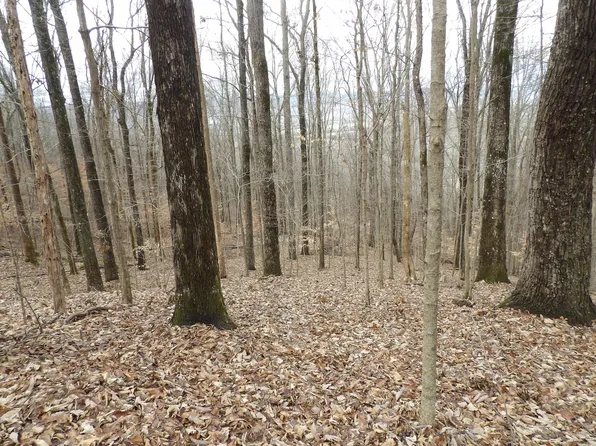 76 Fox Ridge Rd #76, Pikeville, TN 37367