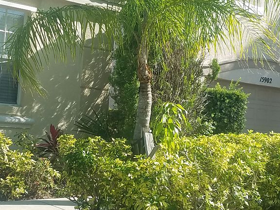 2nd image of 15892 NW 21st St