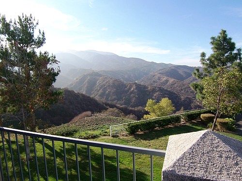 3rd image of 2604 Avenida Del Vis APT 204