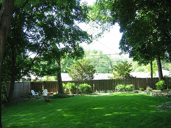 Back yard