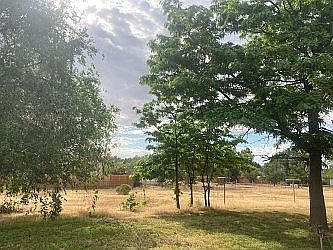 Looking towards pasture