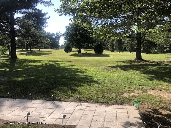 Image 3: Landscaped Yard