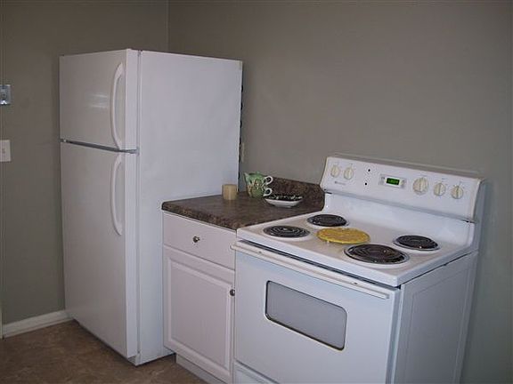 kitchen-fridge and range