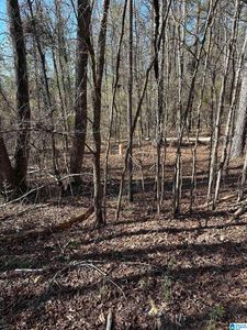 0 Fieldcrest Dr LOT 7, Hayden, AL, 35079
