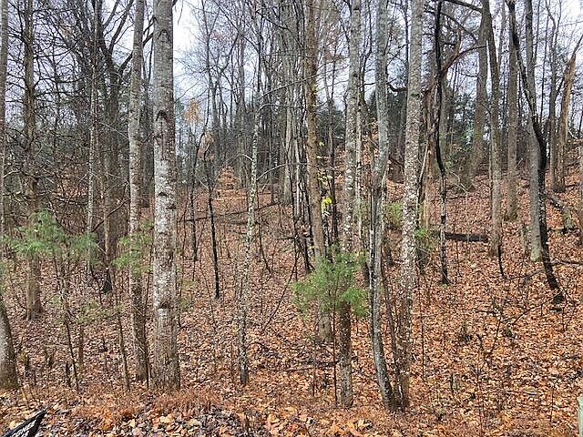 2nd image of LOT 2 Rock Cliff Rd