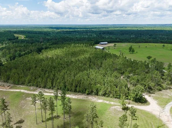 Treetop Ridge Dr, Milton, FL 32571