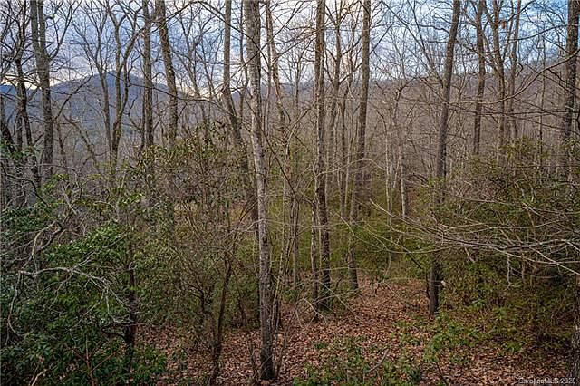 1st image of 8 Wood Lily Trl #14