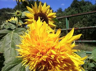 (Undisclosed Address), Sharon, MA 02067
