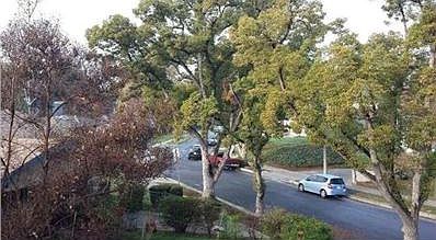 2nd image of 3208 1/2 Sherwood Ave