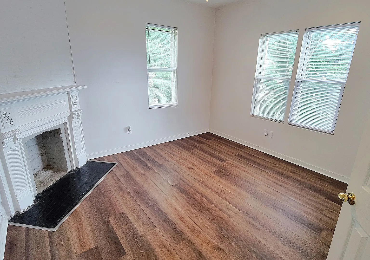 409 Kingsboro Street — Photo 3