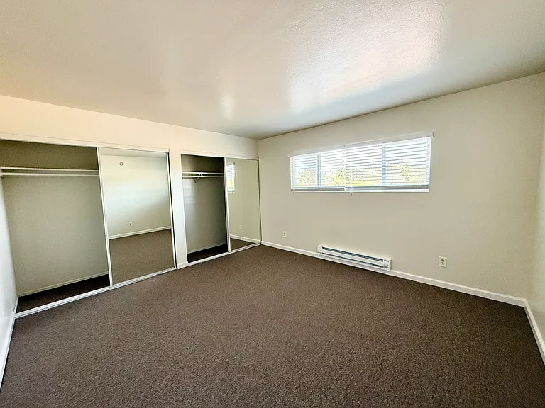 Mosaic Apartments — Photo 15