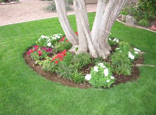 1570 W Kent Dr, Chandler, AZ 85224