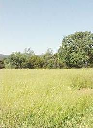 3rd image of 21339 Beaver Ct #Pml