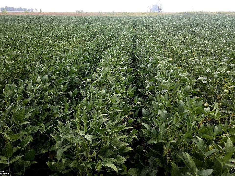 0 Hemlock Ave, Blencoe, IA 51523 Zillow