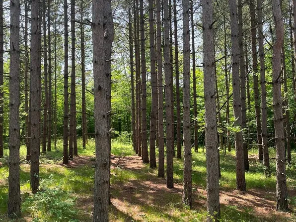 LOT 1 Woerfels Wood Rd, Baileys Harbor, WI 54202