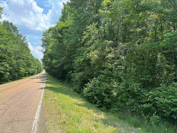 Hwy 142, Shiloh, TN 38376