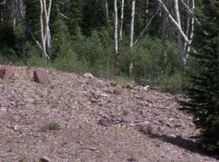 1005 E Autumn Dr, Brian Head, UT 84719