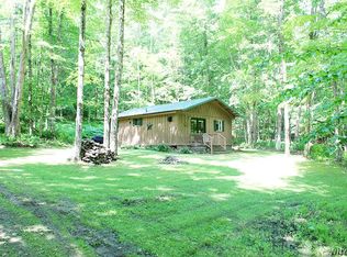 3961 Pumpkin Hollow Rd, Allegany, NY 14706
