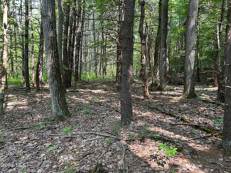 2nd image of L12.100 Willsie Road