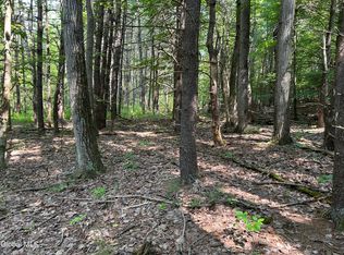 L12.100 Willsie Road, Berne, NY 12023