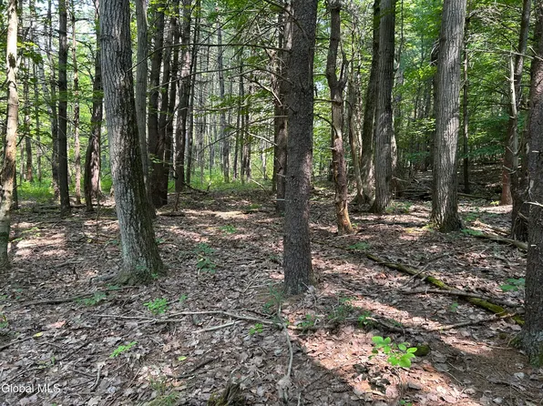 L12.100 Willsie Road, Berne, NY 12023