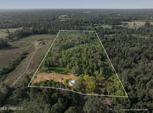 917 Scr #66, Mize, MS 39116