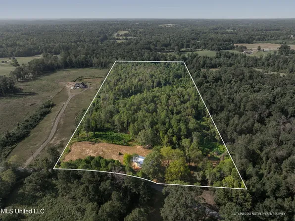 917 Scr #66, Mize, MS 39116