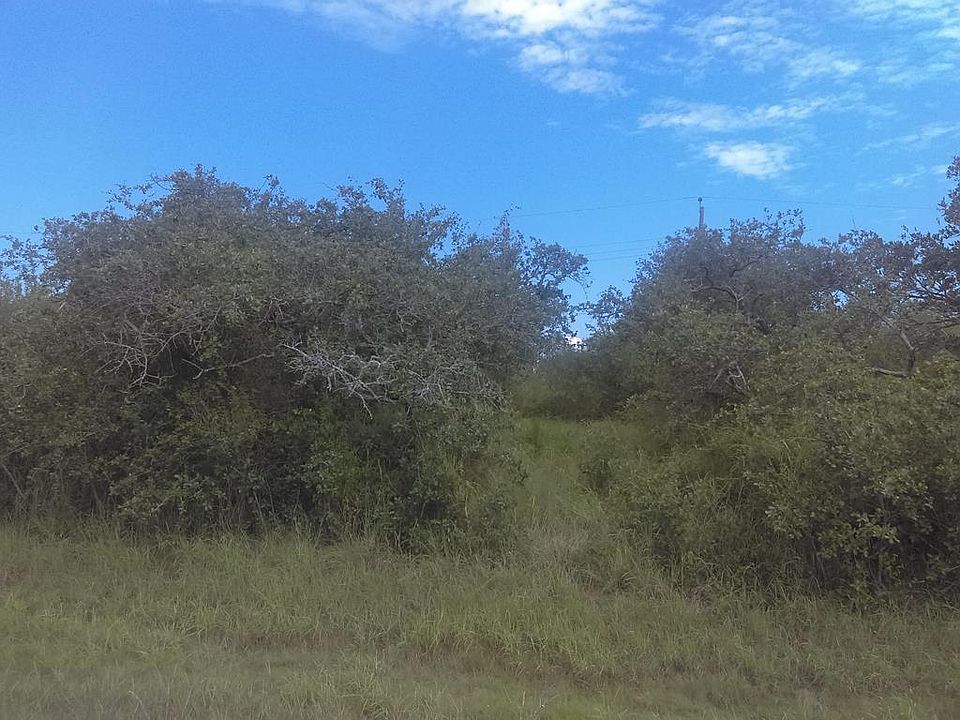 2nd image of 133 Palmetto Point Rd