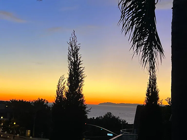 87 Palm Beach Ct — Photo 42